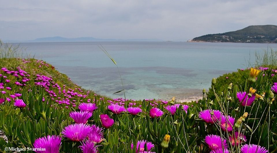 Η Σάμος ανάμεσα στους ποιοτικούς προορισμούς της Ευρώπης για το  2024 σύμφωνα με Βρετανικά και Γερμανικά ΜΜΕ!