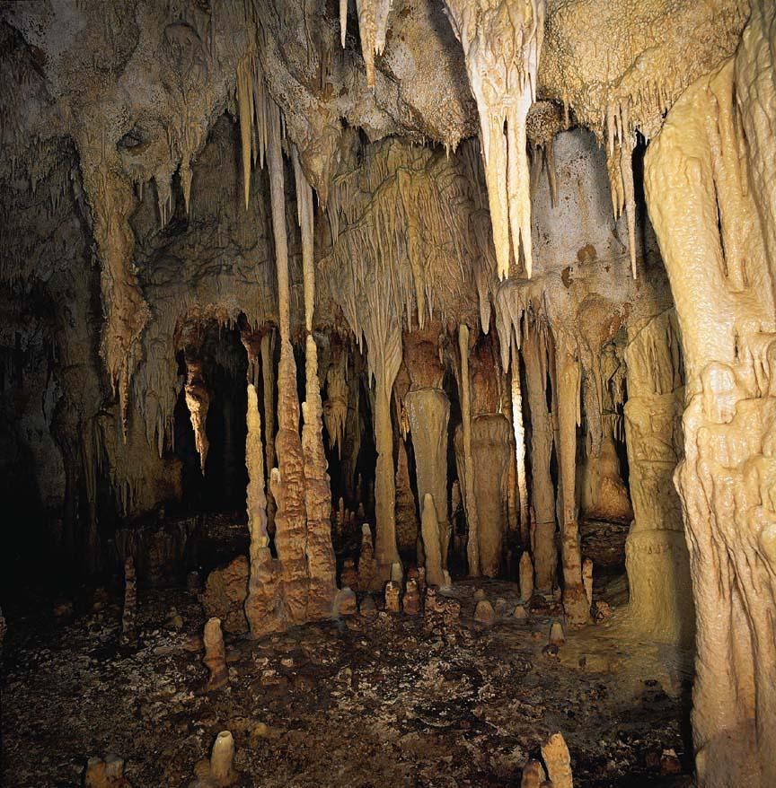 Διάλεξη για τα σημαντικά ευρήματα σε σπήλαιο στο Μεγάλο Σεϊτάνι