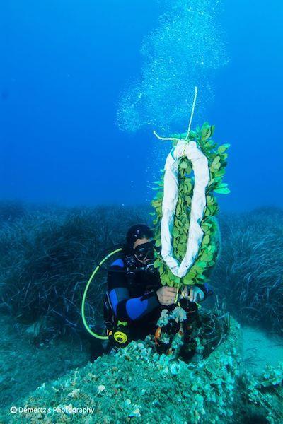 20046731 10155467774329631 4479645370471638176 n