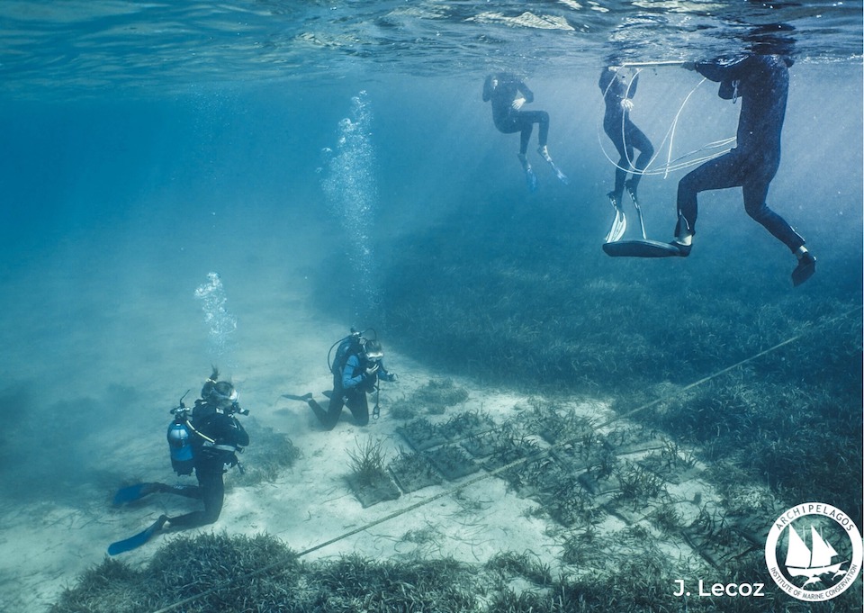 257829318 10158559562770878 2454463847744270917 n