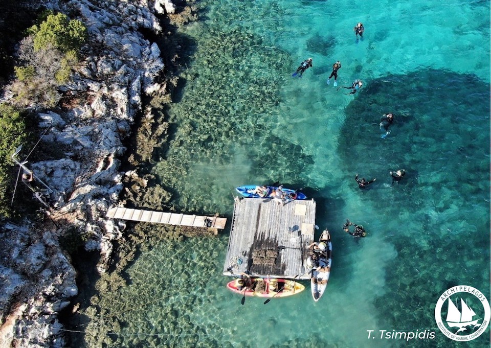 257952719 10158559562970878 3659069255283836668 n