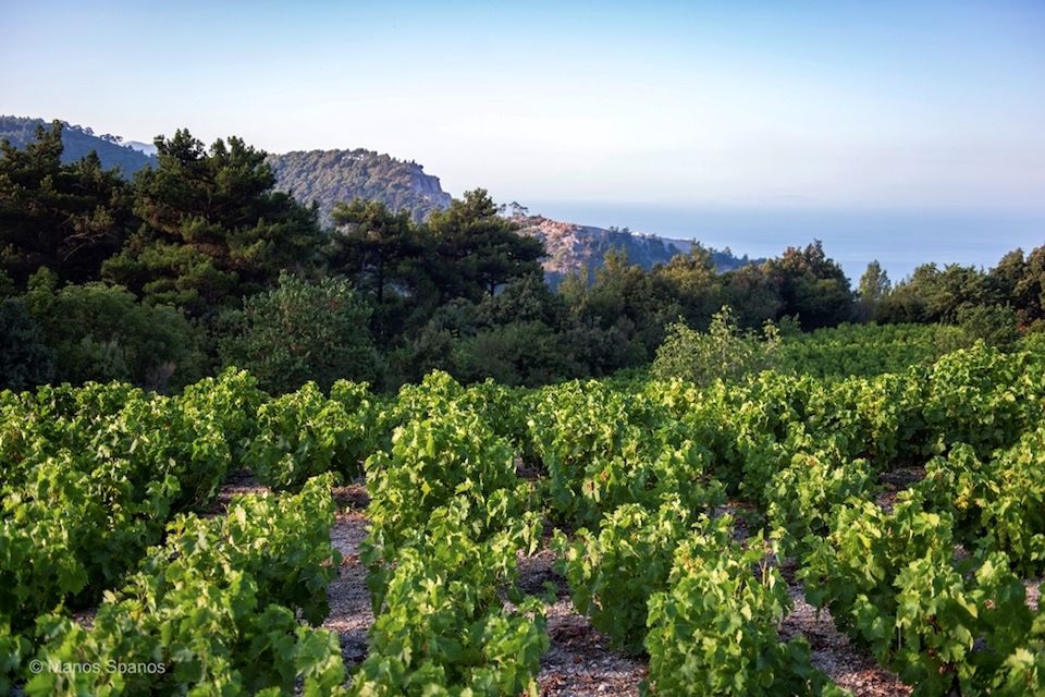 ΕΠΕΙΓΟΥΣΑ  ΑΝΑΚΟΙΝΩΣΗ  ΓΙΑ ΨΕΚΑΣΜΟ ΚΑΤΑ ΕΥΔΕΜΙΔΑΣ