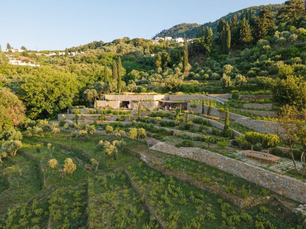 Σάμος: Το πολυβραβευμένο METAXA LIKNON  ανοίγει τις πόρτες του στο ευρύ κοινό