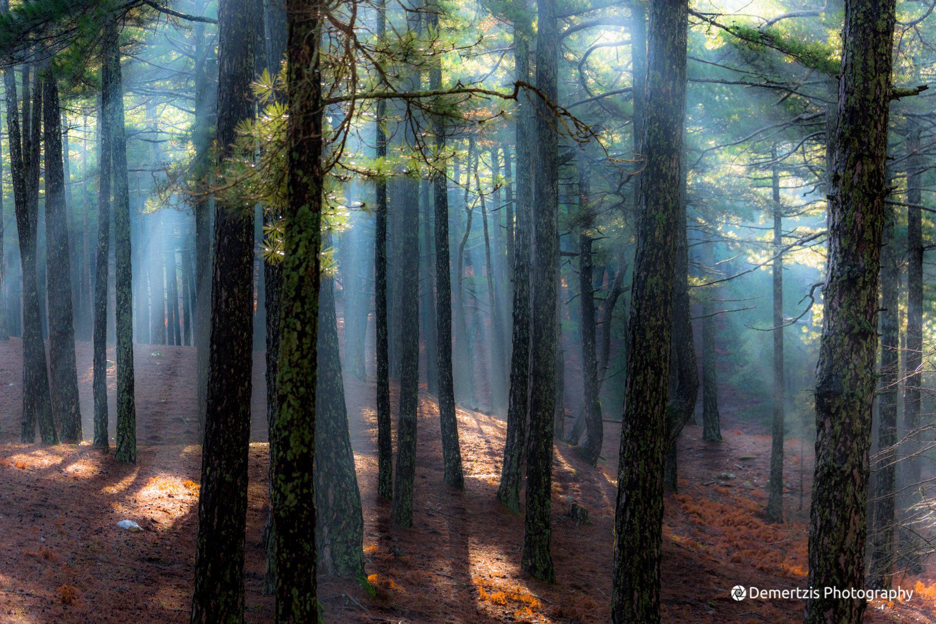 Σάμος: Νεράϊδες και ιστορίες