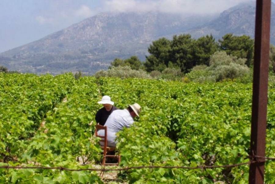 Κλειστό το ΟΙΝΟΠΟΙΕΙΟ ΜΑΛΑΓΑΡΙΟΥ