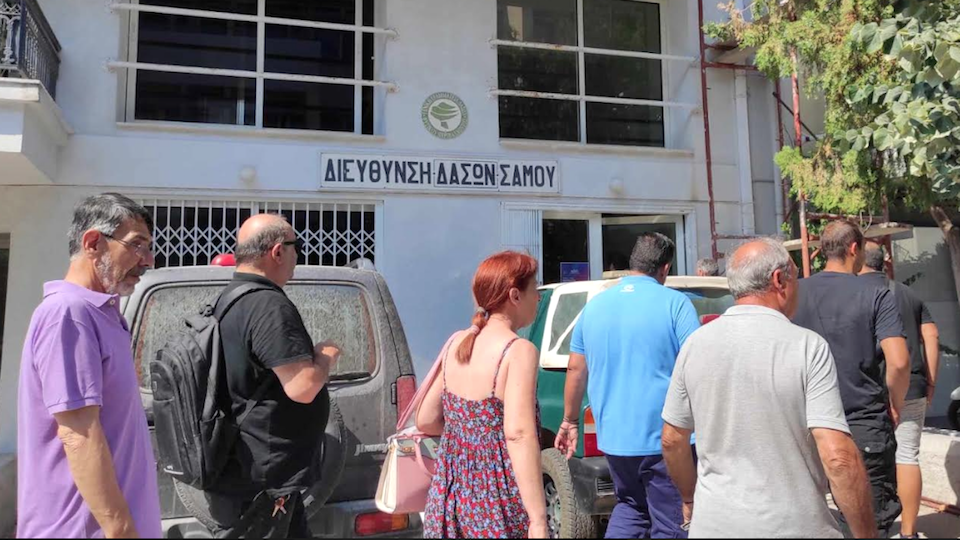 Σάμος: Ρημάζονται οι καλλιέργειες απο τα αγριογούρουνα