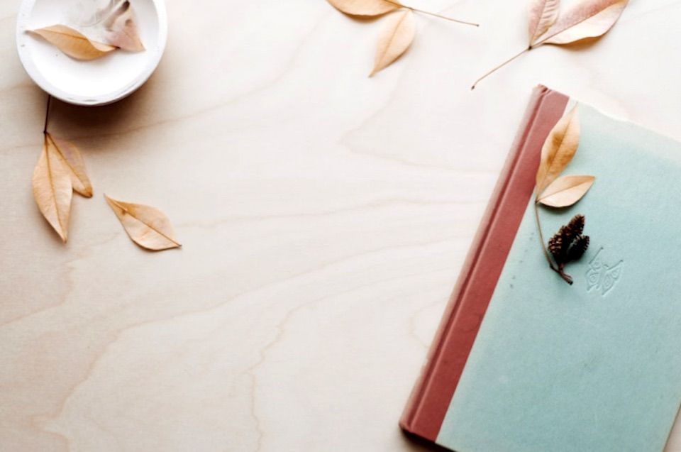 Η άλλη πλευρά των γονιών σου, κρυμμένη σε μια σελίδα ενός ξεχασμένου ημερολογίου.