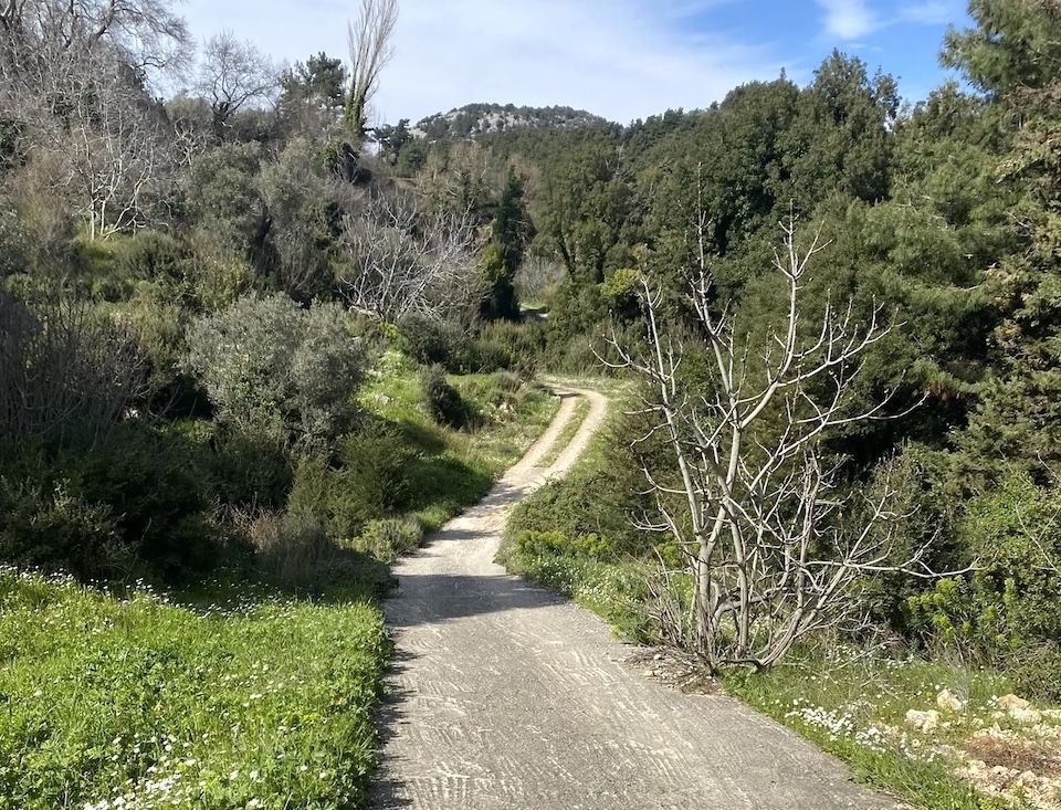 Πεζοπορία στη Λέκκα και Καστανιά: Κυριακή 24 Νοεμβρίου 2024