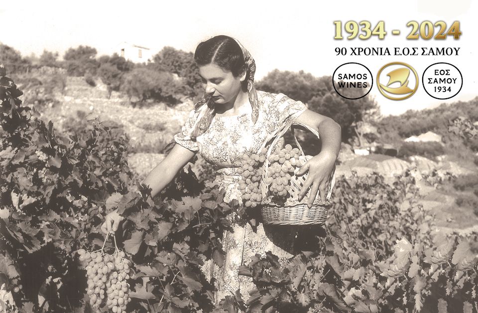 ΓΙΟΡΤΕΣ ΚΡΑΣΙΟΥ ΣΤΗ ΣΑΜΟ: 14 ΙΟΥΛΙΟΥ ΣΤΟ ΜΟΥΣΕΙΟ ΟΙΝΟΥ ΚΑΙ ΣΠΟΝΔΗ ΣΤΟ ΜΟΣΧΑΤΟ