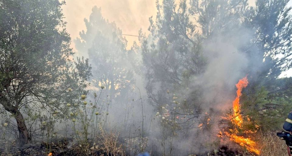 Φωτιά στη Ζερβού Σάμου: Οριοθετήθηκε η πυρκαγιά – Κάηκαν 300 τ.μ. δάσους