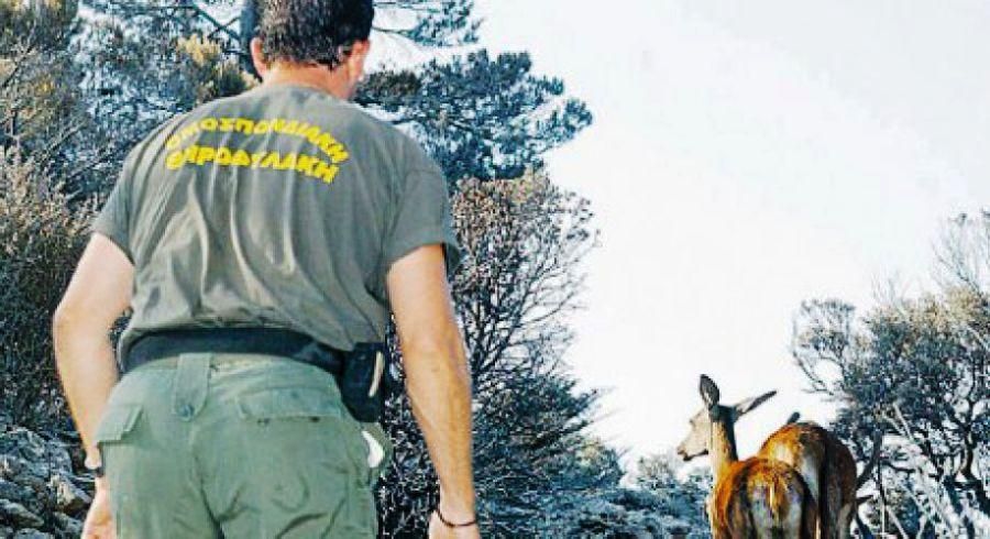 Δημιουργείται για πρώτη φορά ένστολη Δασοφυλακή