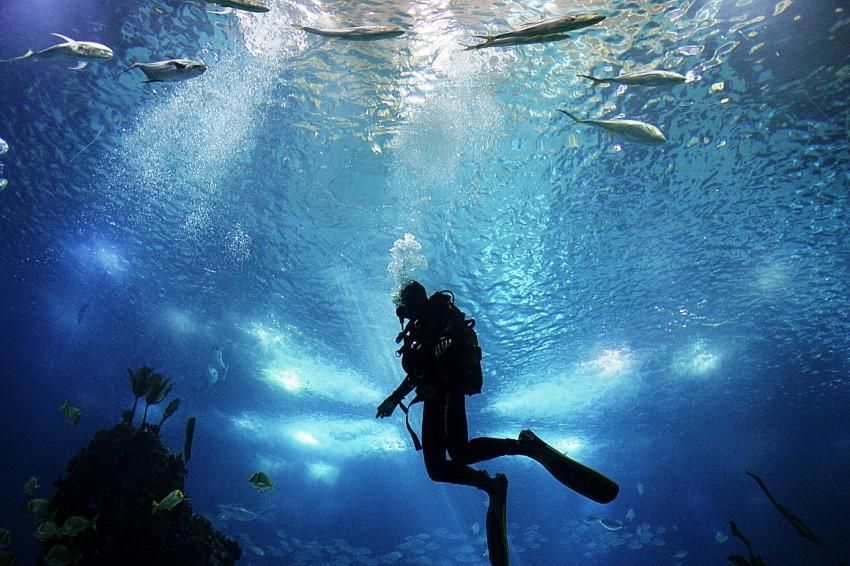 Απίστευτη παραμόρφωση! Ψαράς έπαθε τη νόσο των δυτών και φούσκωσε σα μπαλόνι