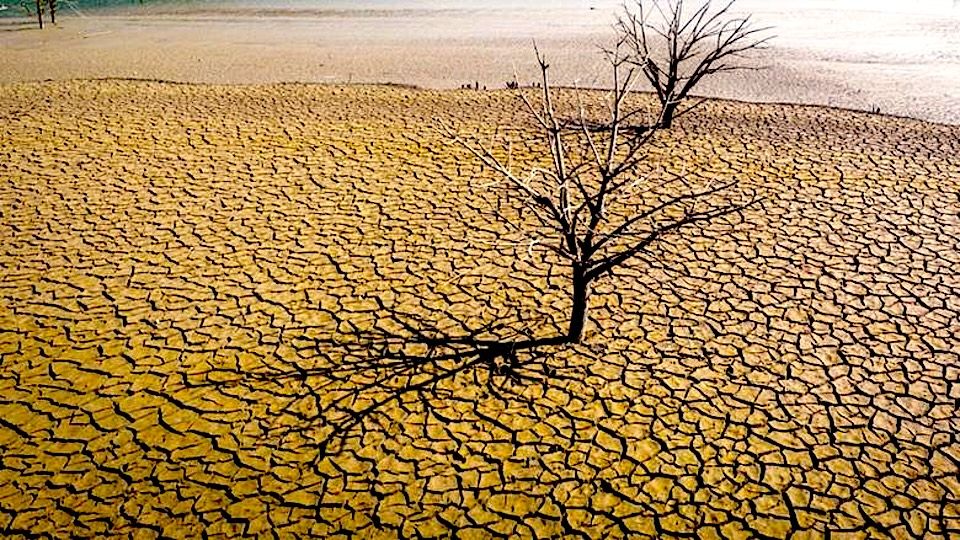 Νερό: Παγκόσμια κρίση με σοβαρές συνέπειες στις καλλιέργειες, την καθημερινότητα και την  οικονομία.