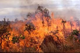 H χώρα γέμισε με λύπη και με σταχτί πυκνό καπνό…