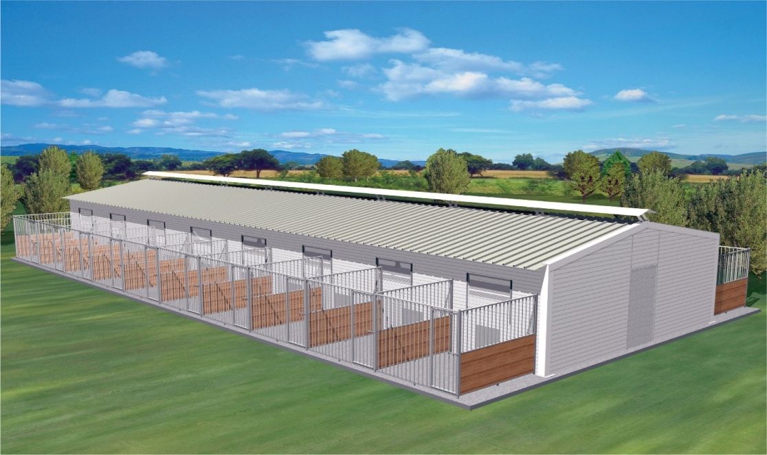 Ο Δήμος Δυτικής Σάμου αναζητά χώρο για τη δημιουργία καταφυγίου αδέσποτων ζώων