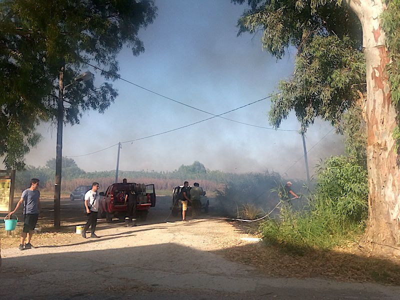 Άμεση επέμβαση Π.Υ., εθελοντών και απλού κόσμου απέτρεψαν την επέκταση της φωτιάς