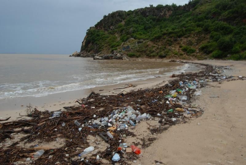 Ωκεανοί σκουπιδιών: Που πήγαν όλα τα πλαστικά του κόσμου;