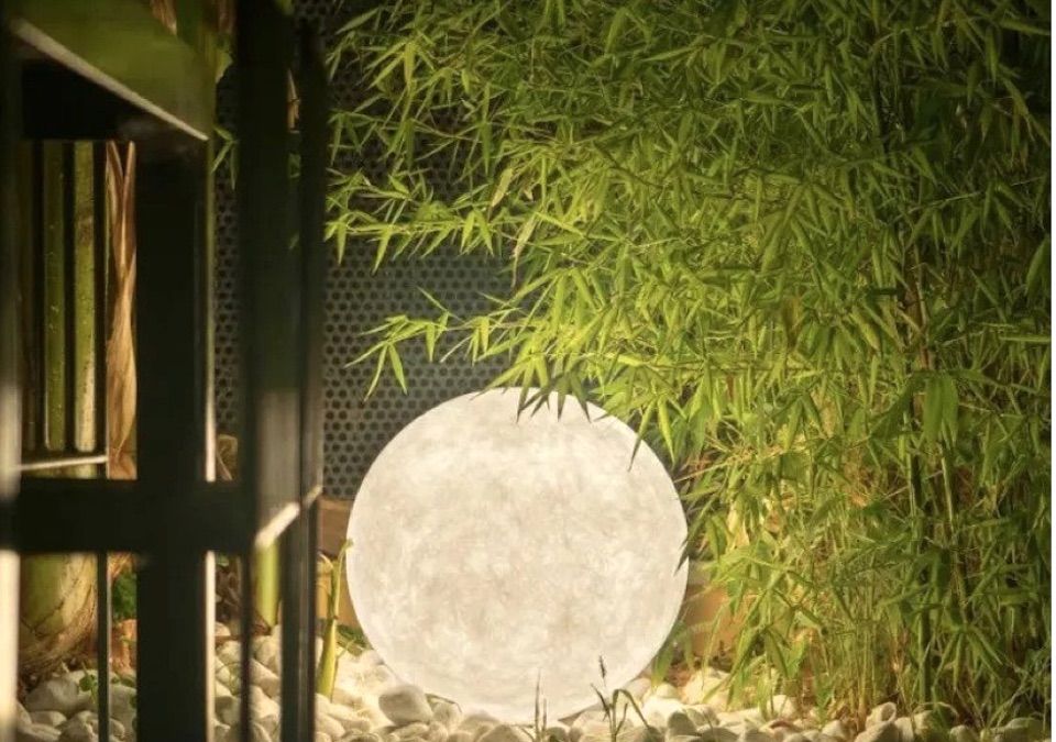 Tips για να διαμορφώσετε τον χώρο σας σύμφωνα με τον βιοφιλικό σχεδιασμό